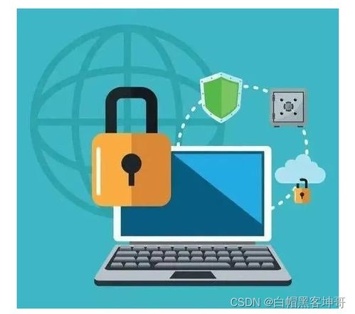 网络安全专家核心技能与必备工具指南