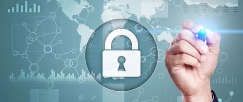 信用宝山 构建网络与信息安全软件开发的新高地